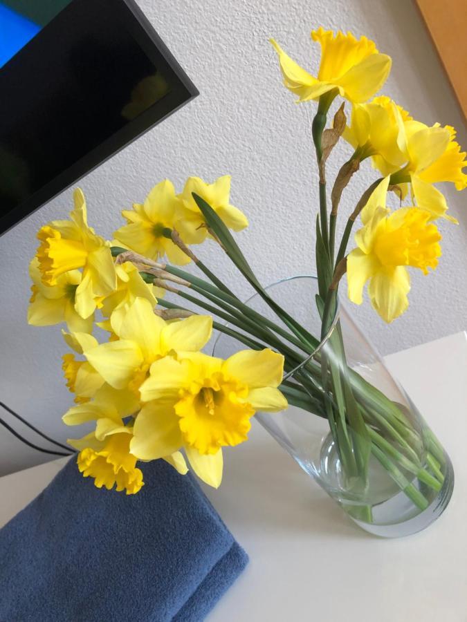 Apartman Lara Komarno Bagian luar foto